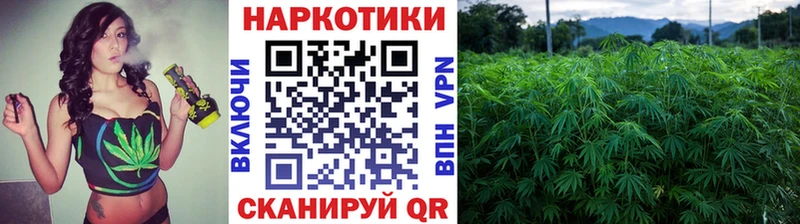 Где купить Чегем АМФЕТАМИН  ГАШ  MDMA  KRAKEN рабочий сайт  Бошки Шишки  COCAIN 