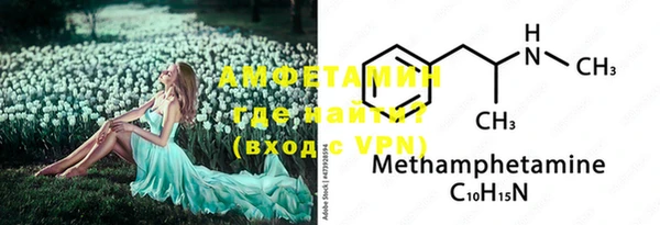 индика Дмитровск