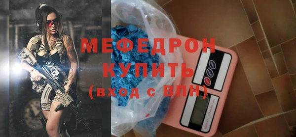 индика Дмитровск