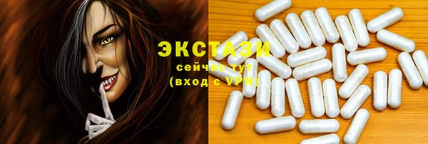 индика Дмитровск
