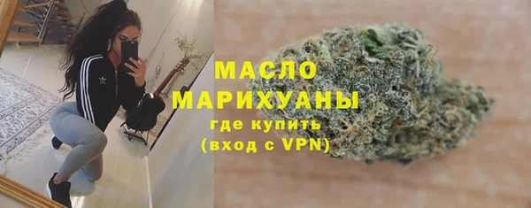 индика Дмитровск