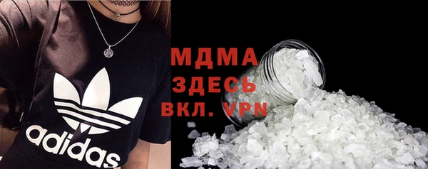 индика Дмитровск