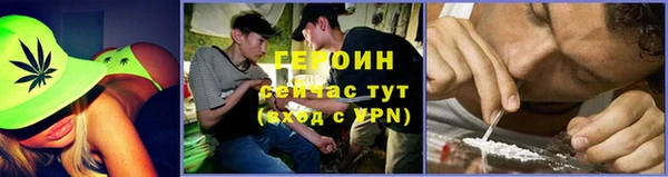 индика Дмитровск