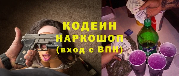 индика Дмитровск